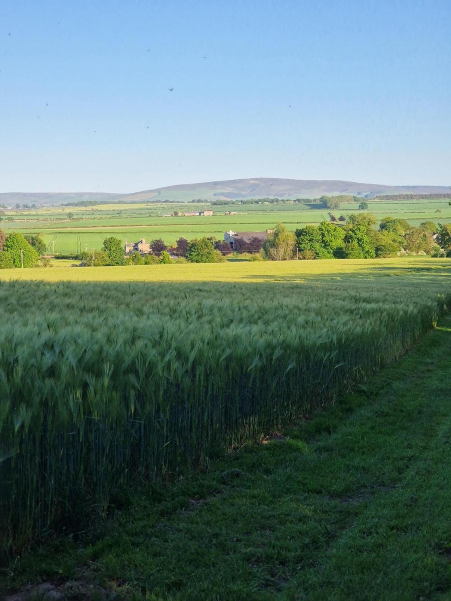 Jerusalem Farm Pods Tranent Buitenkant foto