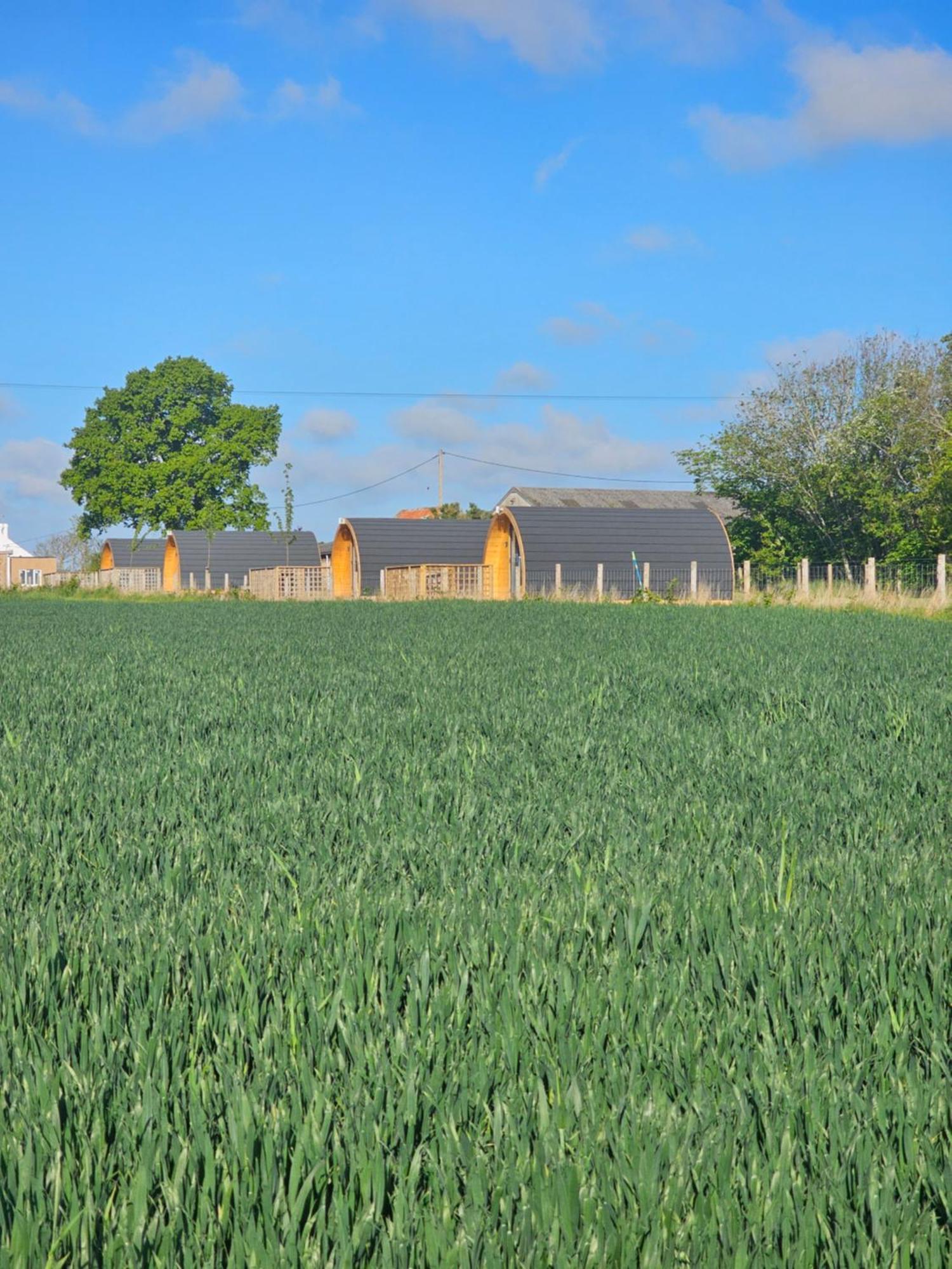 Jerusalem Farm Pods Tranent Buitenkant foto